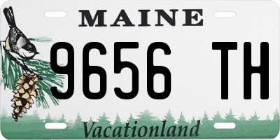 ME license plate 9656TH