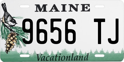ME license plate 9656TJ