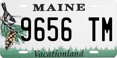 ME license plate 9656TM