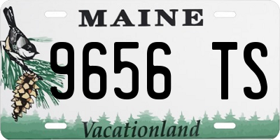 ME license plate 9656TS