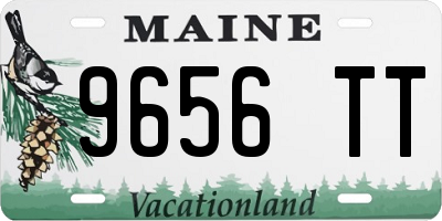 ME license plate 9656TT