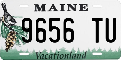 ME license plate 9656TU
