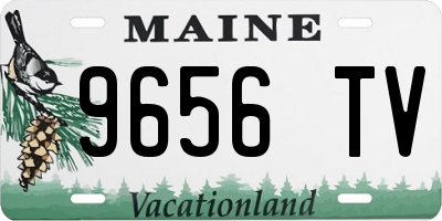 ME license plate 9656TV