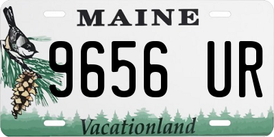 ME license plate 9656UR