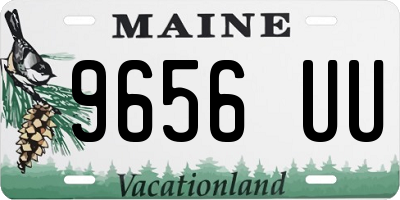 ME license plate 9656UU