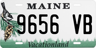 ME license plate 9656VB