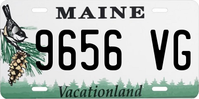 ME license plate 9656VG