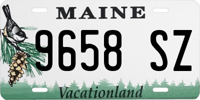 ME license plate 9658SZ