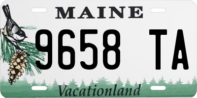 ME license plate 9658TA