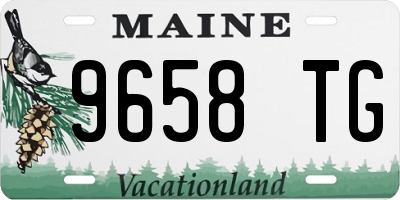 ME license plate 9658TG
