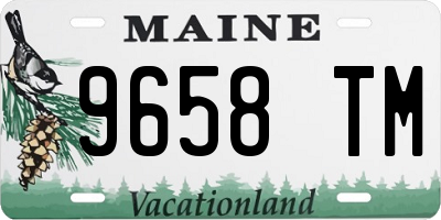 ME license plate 9658TM