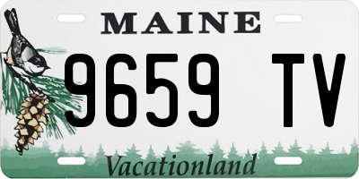 ME license plate 9659TV