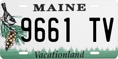 ME license plate 9661TV