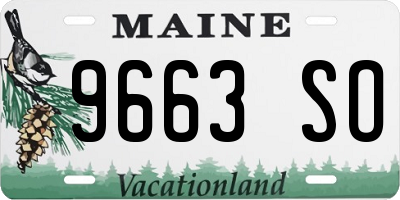ME license plate 9663SO