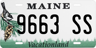 ME license plate 9663SS