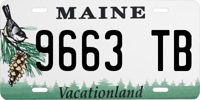 ME license plate 9663TB