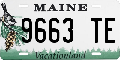 ME license plate 9663TE