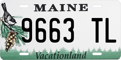 ME license plate 9663TL
