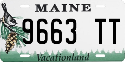 ME license plate 9663TT