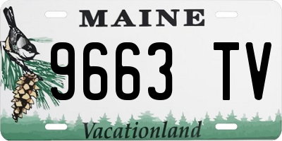 ME license plate 9663TV