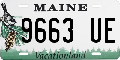 ME license plate 9663UE