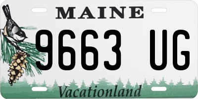 ME license plate 9663UG