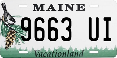 ME license plate 9663UI