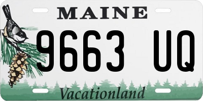 ME license plate 9663UQ