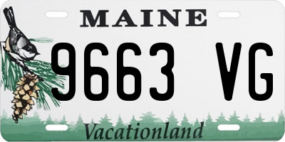 ME license plate 9663VG