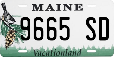 ME license plate 9665SD