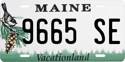 ME license plate 9665SE