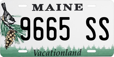 ME license plate 9665SS