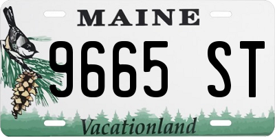 ME license plate 9665ST