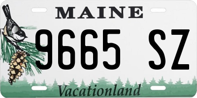 ME license plate 9665SZ