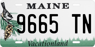 ME license plate 9665TN