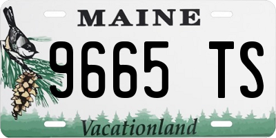 ME license plate 9665TS