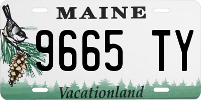 ME license plate 9665TY