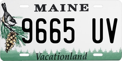 ME license plate 9665UV