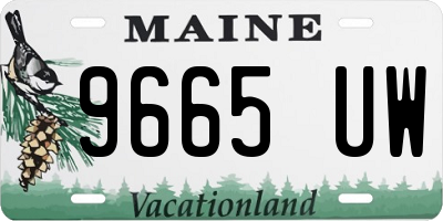 ME license plate 9665UW