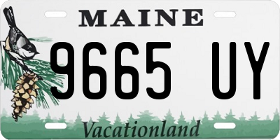 ME license plate 9665UY