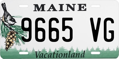 ME license plate 9665VG