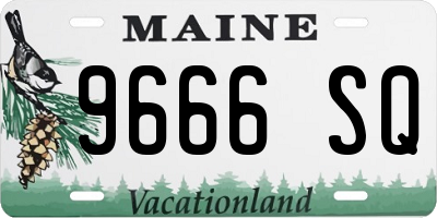 ME license plate 9666SQ