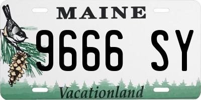 ME license plate 9666SY