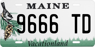 ME license plate 9666TD