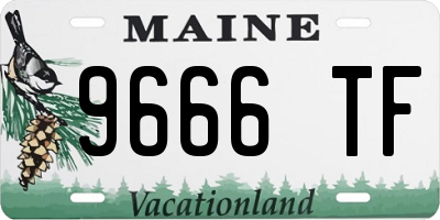 ME license plate 9666TF