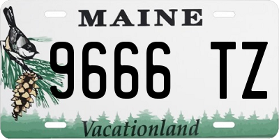 ME license plate 9666TZ