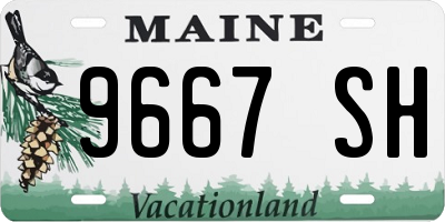 ME license plate 9667SH