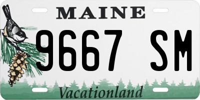 ME license plate 9667SM