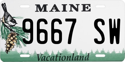 ME license plate 9667SW