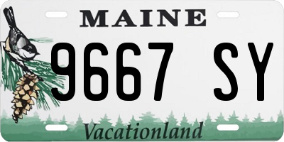 ME license plate 9667SY